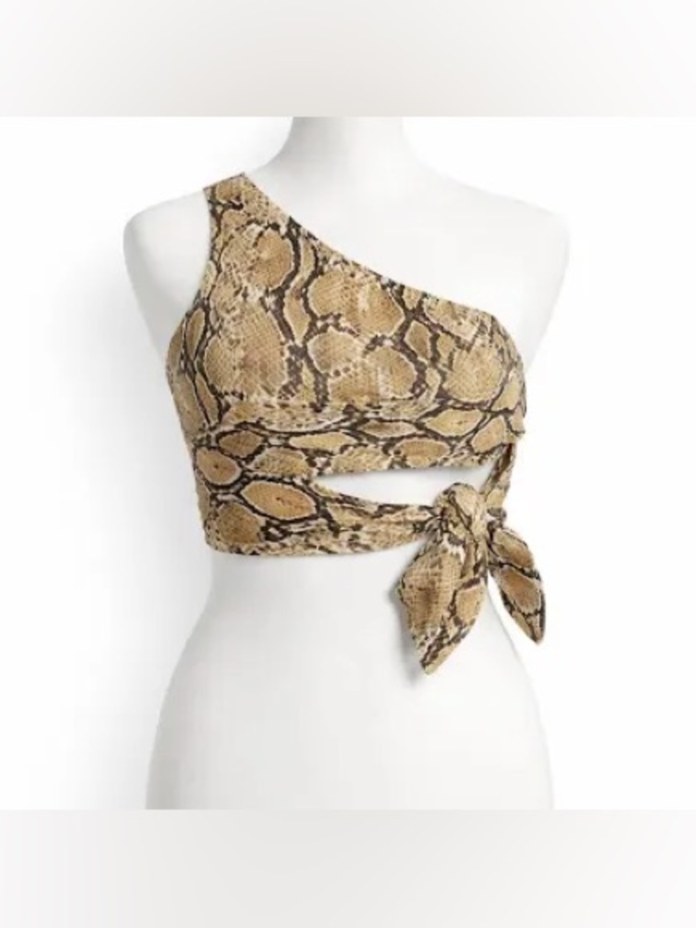 H&M Snake Print Crop Top in Beige & Brown